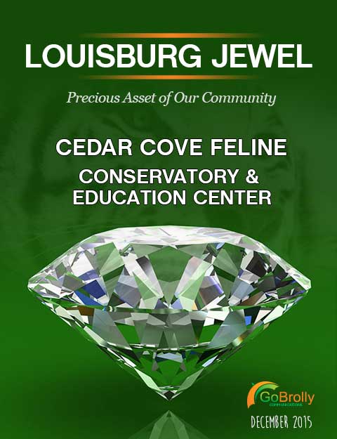 Cedar Cove Feline Conservatory Louisburg Jewel
