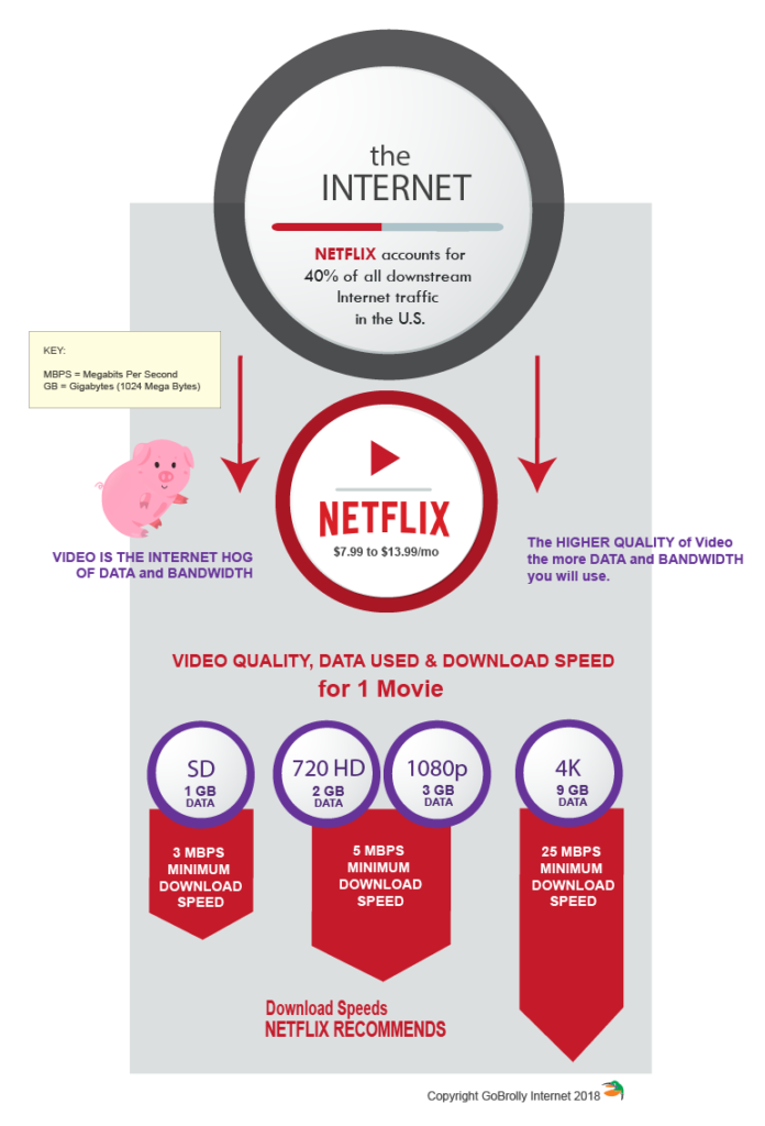 Datos y velocidad de necesarios para transmitir Netflix / GoBrolly Constant