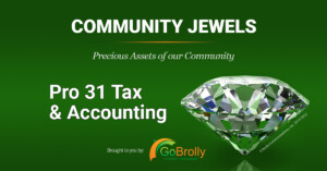 Pro 31 Tax & Accounting Jewel