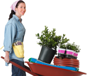 Female Carrying New Plants for Spring