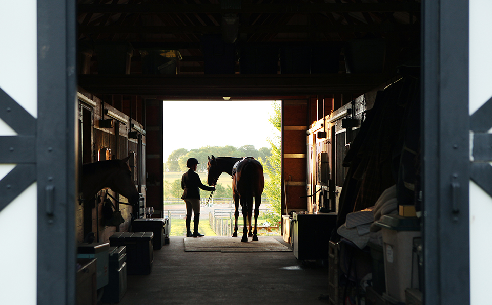 internet-signal-horse-barn_gobrolly